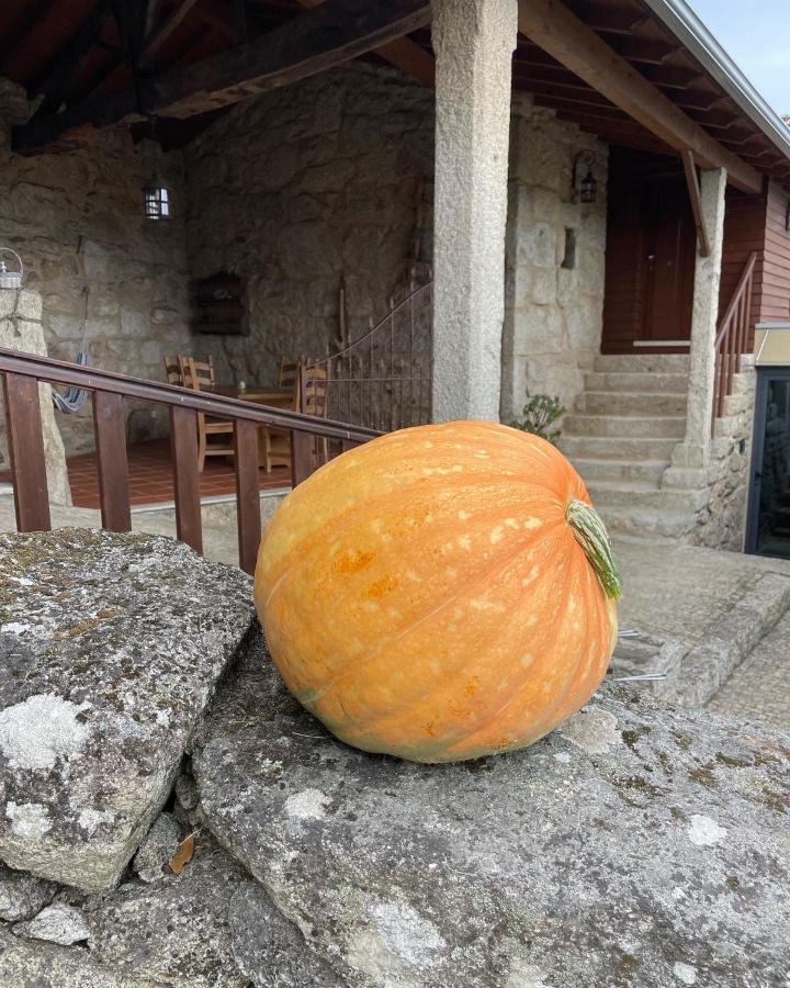 Casa De Santo Andre Villa Monção Dış mekan fotoğraf