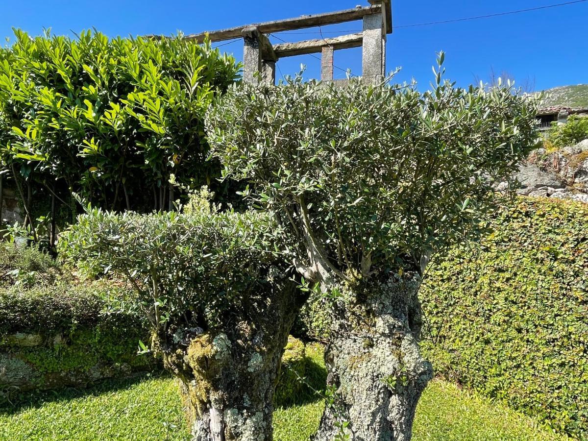 Casa De Santo Andre Villa Monção Dış mekan fotoğraf